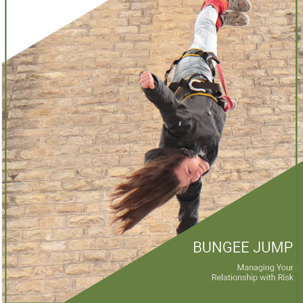 business bungee jump cover-sq