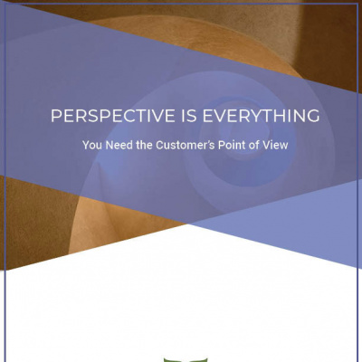 perspective is everything cover-sq