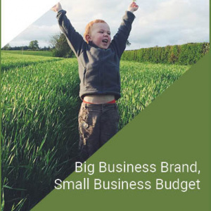 big business brand small business budget-sq